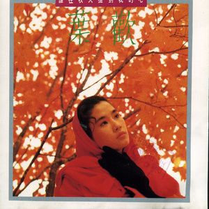 中文字幕a有搜索网站
