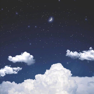 中文字幕a有搜索网站
